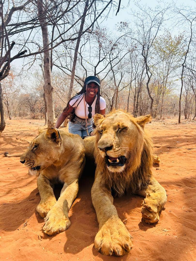 Walking with the Lions in Livingstone, Zambia