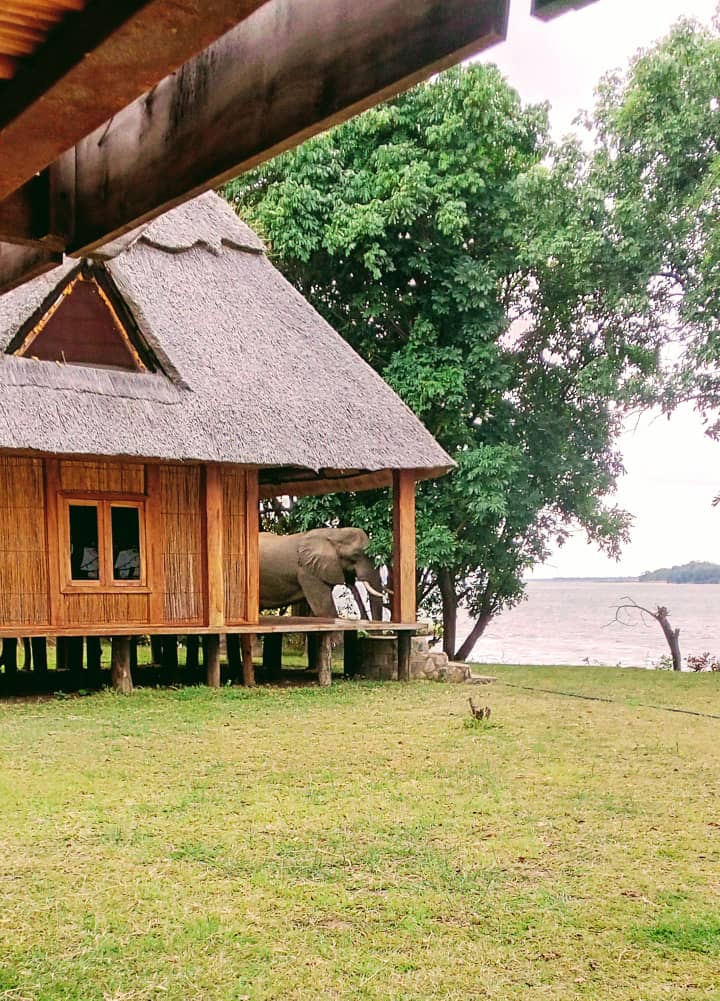 Charangwe Safari Lodge in Lower Zambezi, Zambia