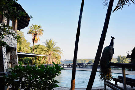 Gwabi River Lodge surroundings from Chileshe Kapaya Matantilo's getaway