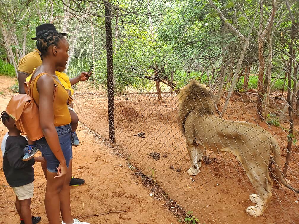 Pauline Saviye and her family viewing a lion at Mukuni Big 5 Safari